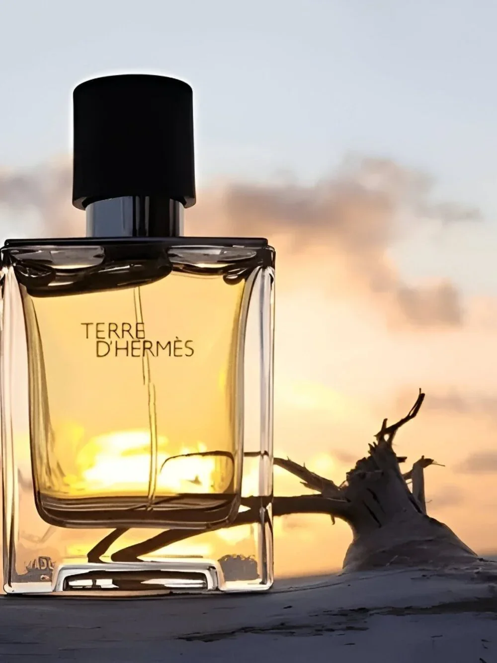 Hermes Terre d’Hermes EDT,Woody-Mini 5ml,0.17oz-Abstract Horse Blue Gift Box-NEW